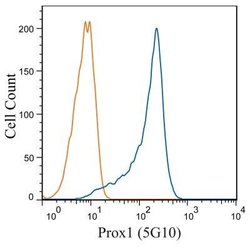 Prox1 Antibody (5G10) - Azide and BSA Free, Novus Biologicals 0.1 mL; Unconjugated:Antibodies,